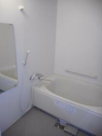 5/15 その他画像