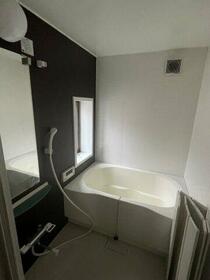 5/11 その他画像