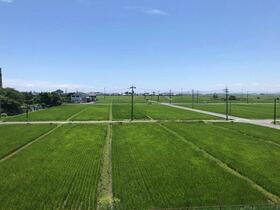 14/19 その他画像