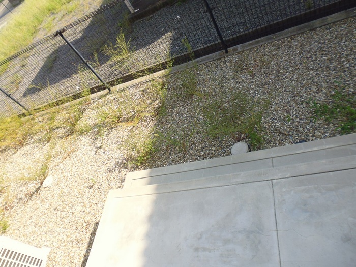 13/16 その他画像