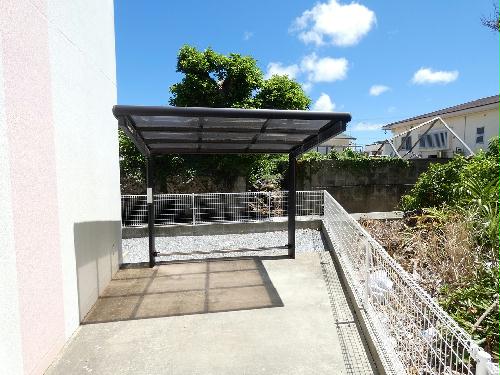 11/15 その他画像