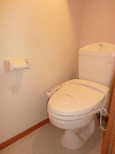 13/16 その他画像