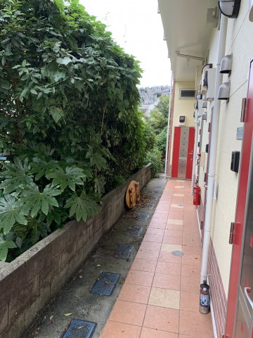 17/27 その他画像