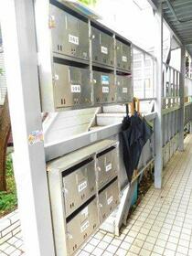 11/16 その他画像