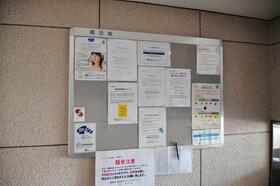 11/16 その他画像