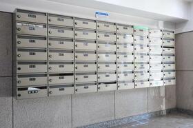 13/16 その他画像