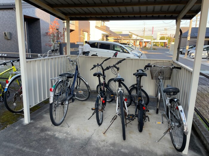 17/19 その他画像