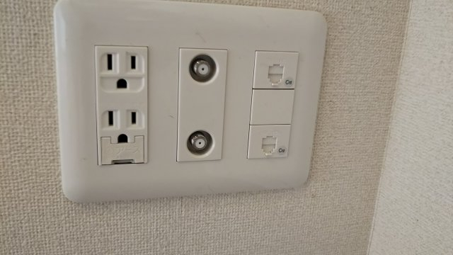 11/29 その他画像