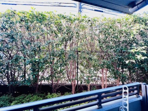 25/29 その他画像