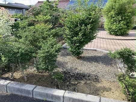 13/22 その他画像