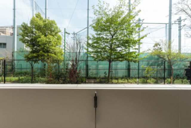 28/29 その他画像