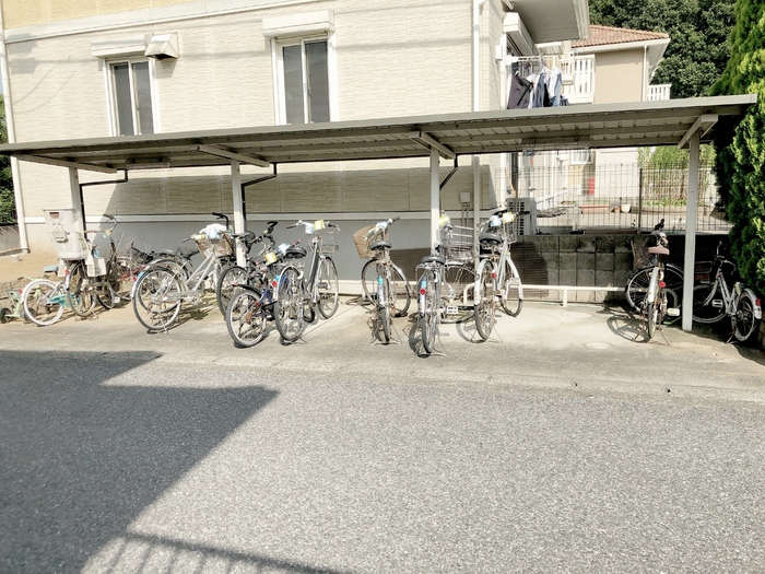 19/20 その他画像