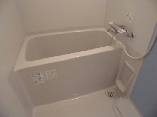 11/12 その他画像