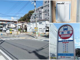 15/19 その他画像