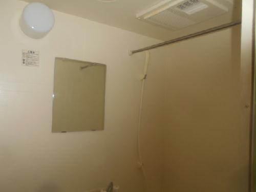 13/17 その他画像