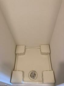 11/11 その他画像