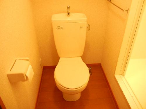 12/19 その他画像