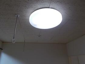 15/19 その他画像