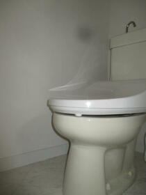 11/13 その他画像