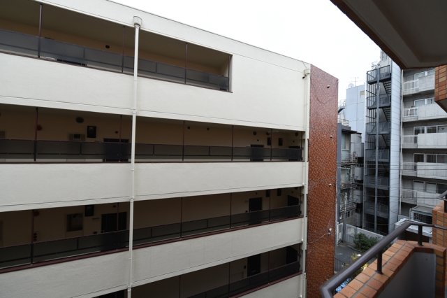 15/19 その他画像