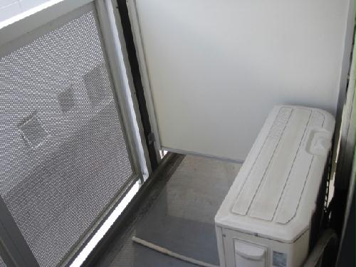 11/21 その他画像