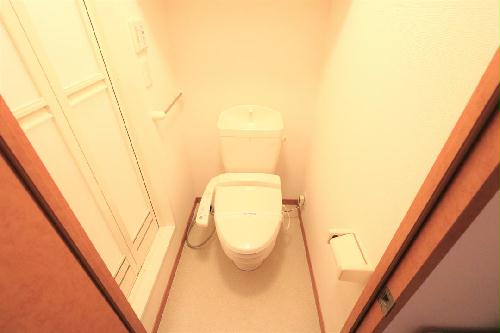 11/15 その他画像