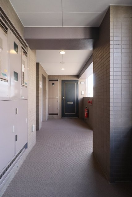 25/29 その他画像