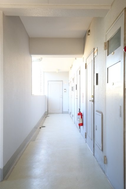 15/19 その他画像