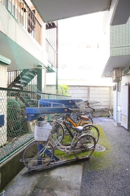 16/19 その他画像