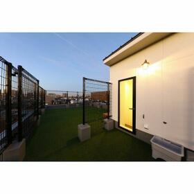 8/16 その他画像