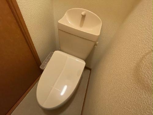 8/14 その他画像