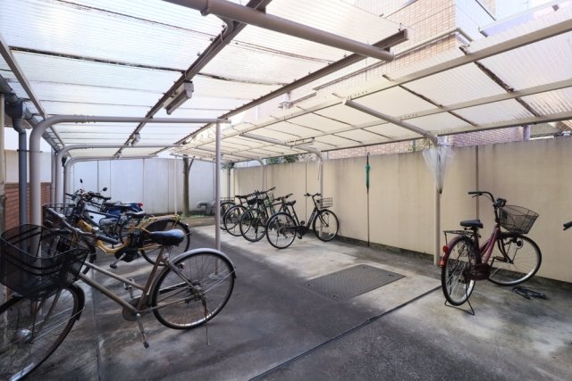 5/17 その他画像