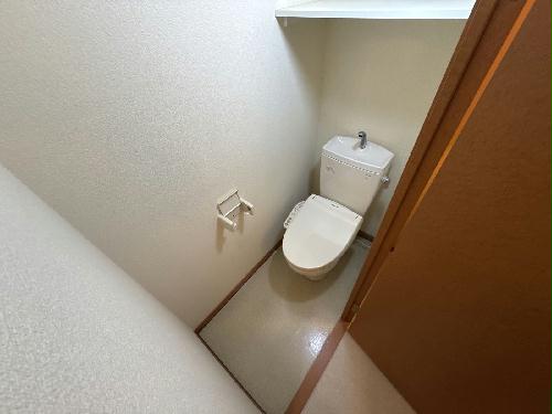 8/14 その他画像