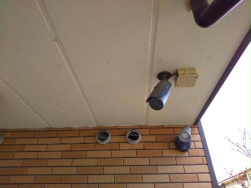 11/14 その他画像