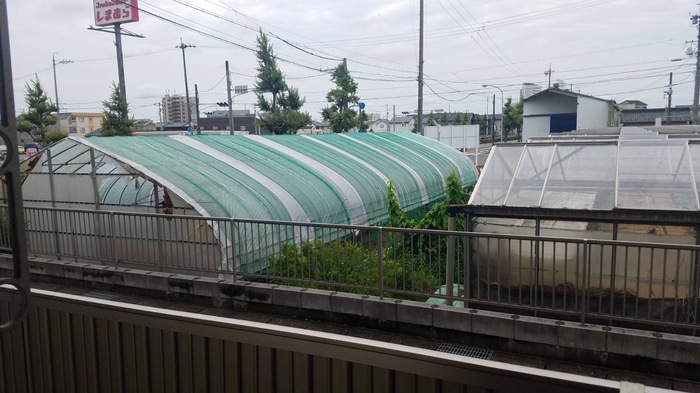 13/17 その他画像