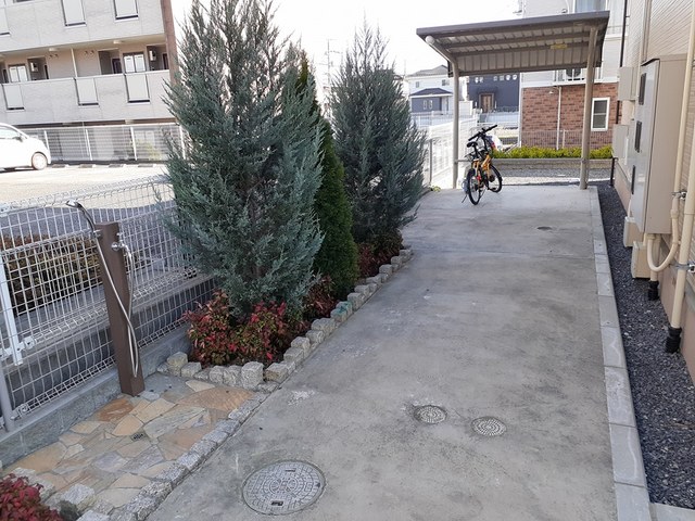 その他画像