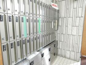 13/18 その他画像