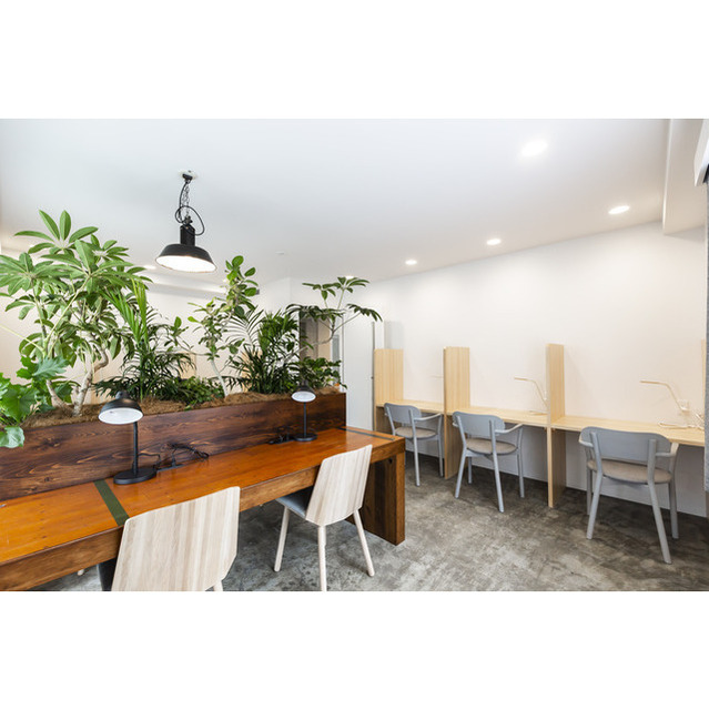 4/16 その他画像