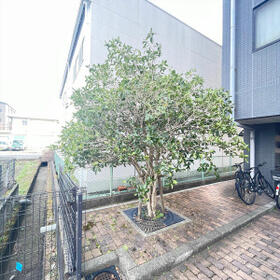 8/16 その他画像