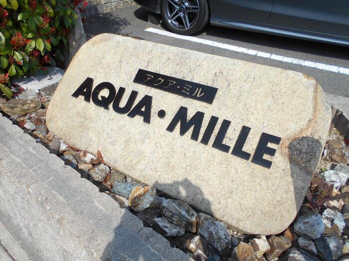 8/13 その他画像