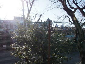 15/24 その他画像