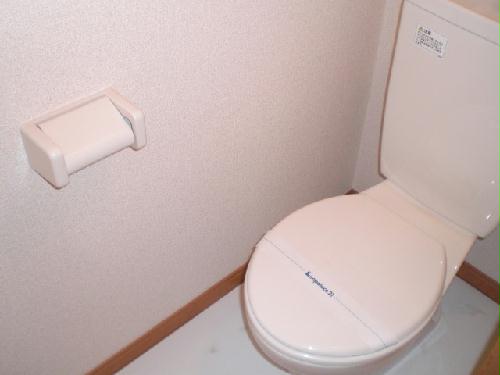 11/16 その他画像