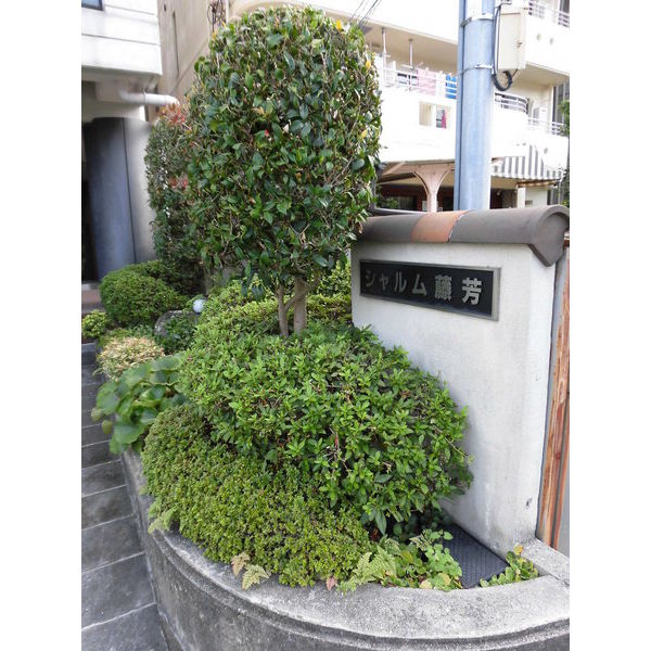 15/19 その他画像