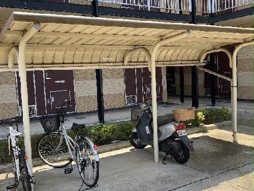 11/14 その他画像