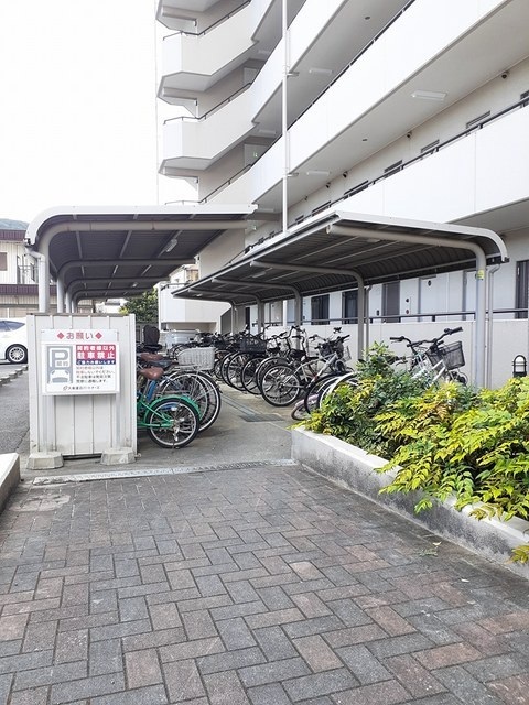 その他共有