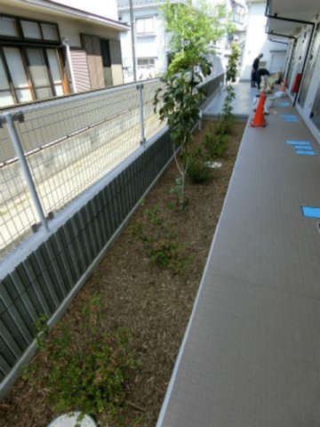 19/25 その他画像