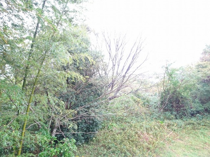 17/19 その他画像