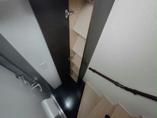 8/14 その他画像