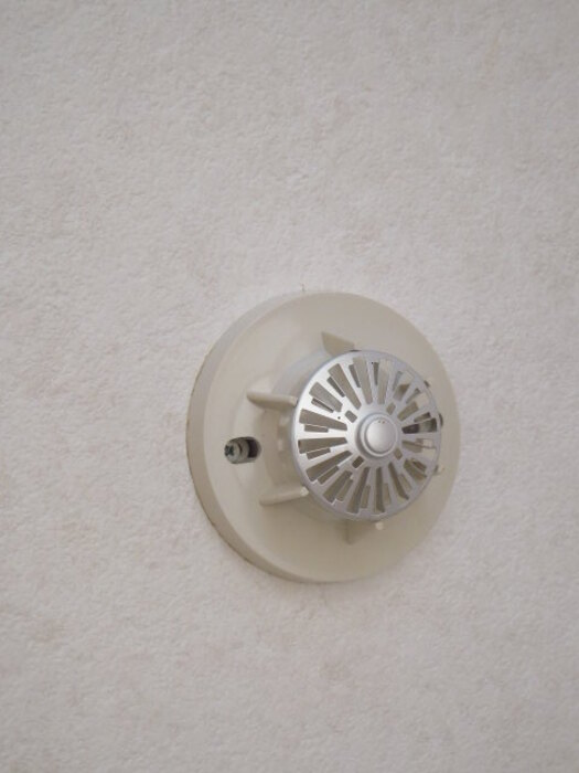 13/19 その他画像