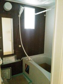 5/11 その他画像